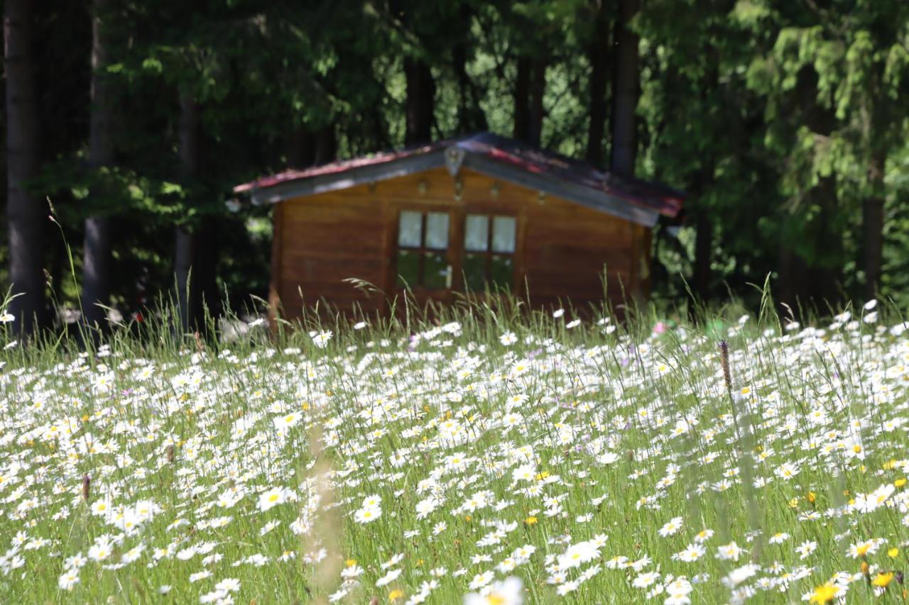 Apartment Am Nationalpark Bayerwald Lindberg Luaran gambar
